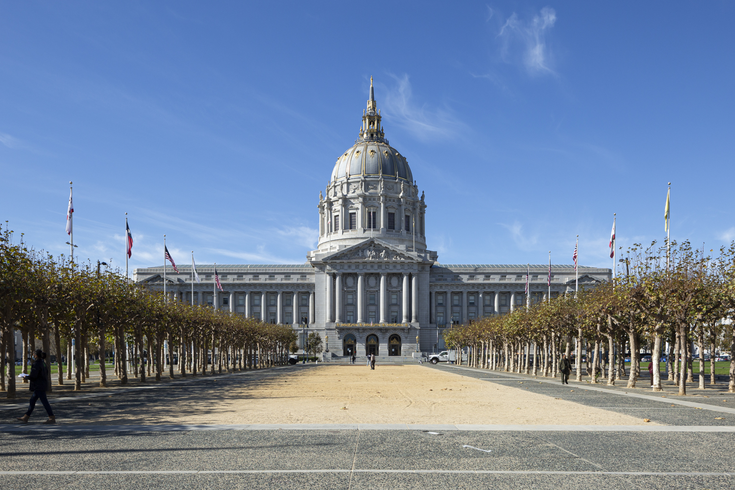 San Francisco City Hall, image by Andrew Campbell Nelson