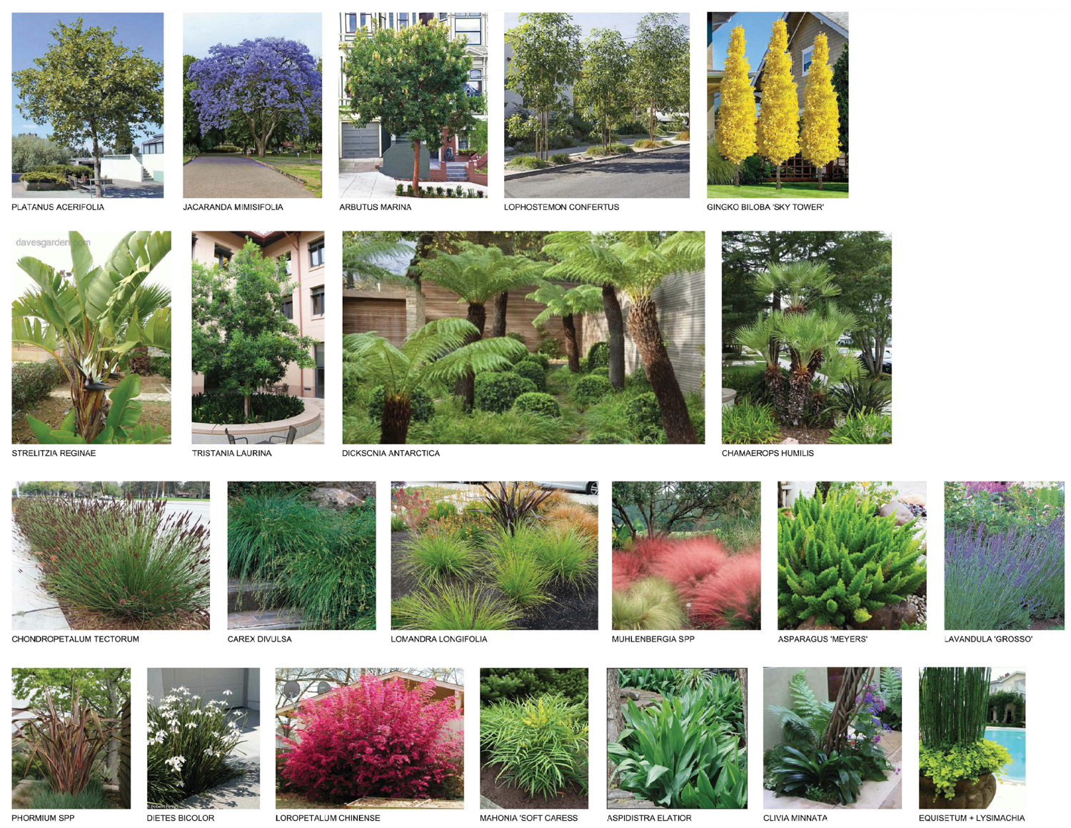 1188 East 14th Street greenery composition, via The Guzzardo Partnership