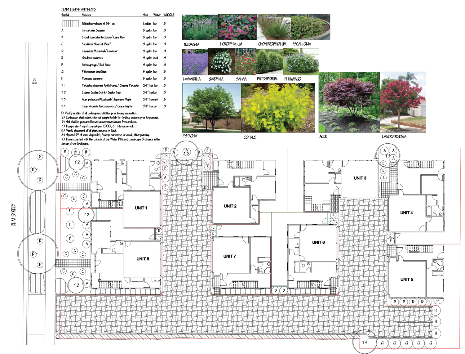 972 Elm Street Villas planting plan, image from W. Jeffrey Heid