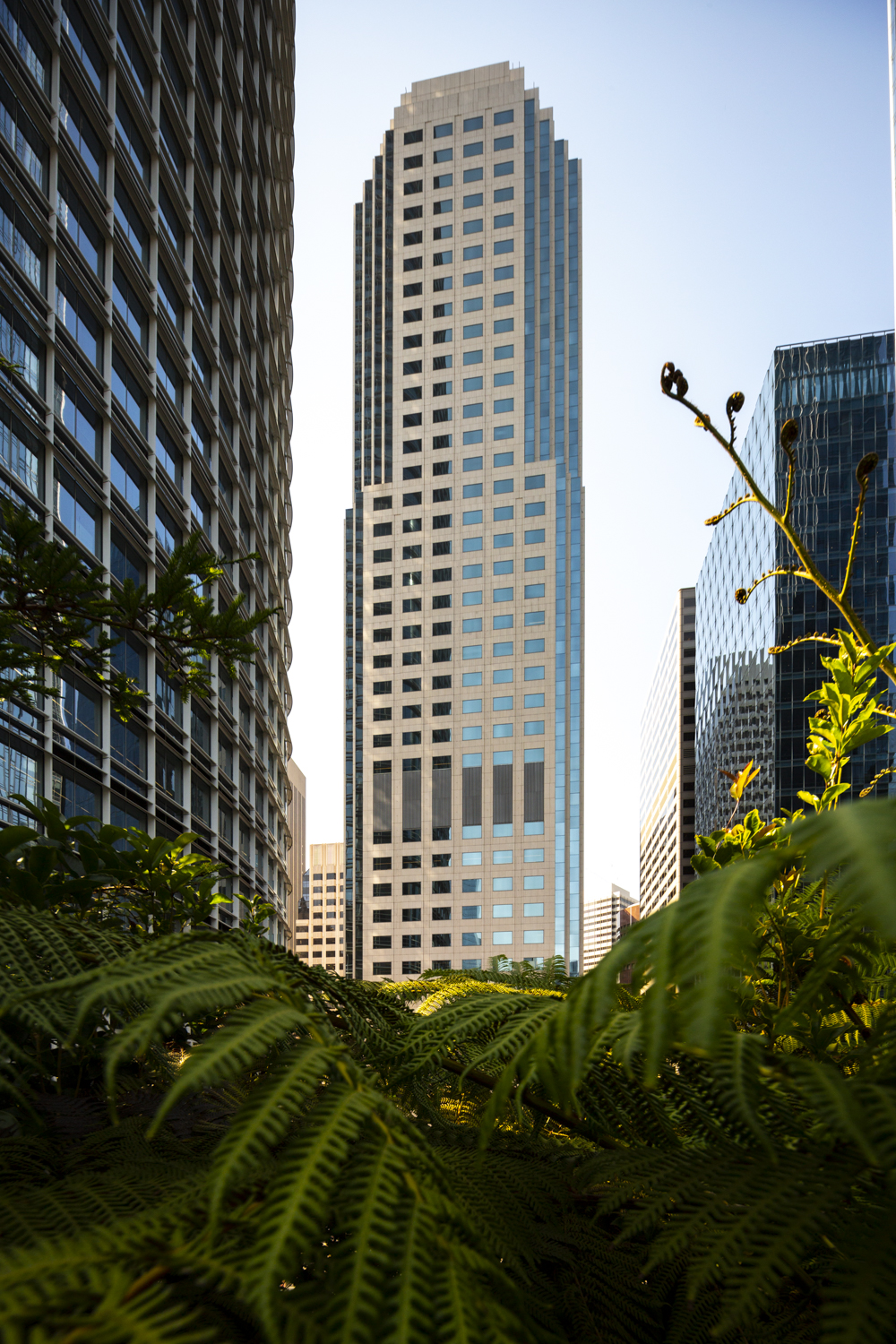 Salesforce West from the Salesforce park, image by Andrew Campbell Nelson
