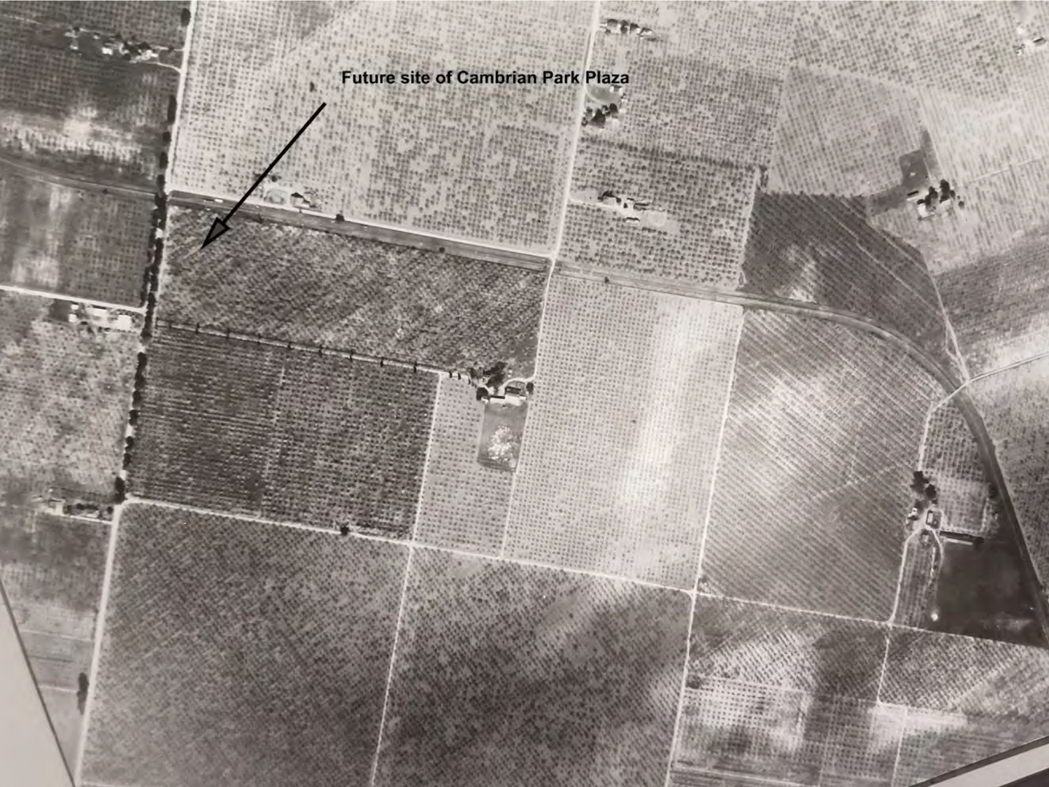 1931 USGS aerial showing future site of Cambrian Park Plaza, image via CEQA Documents