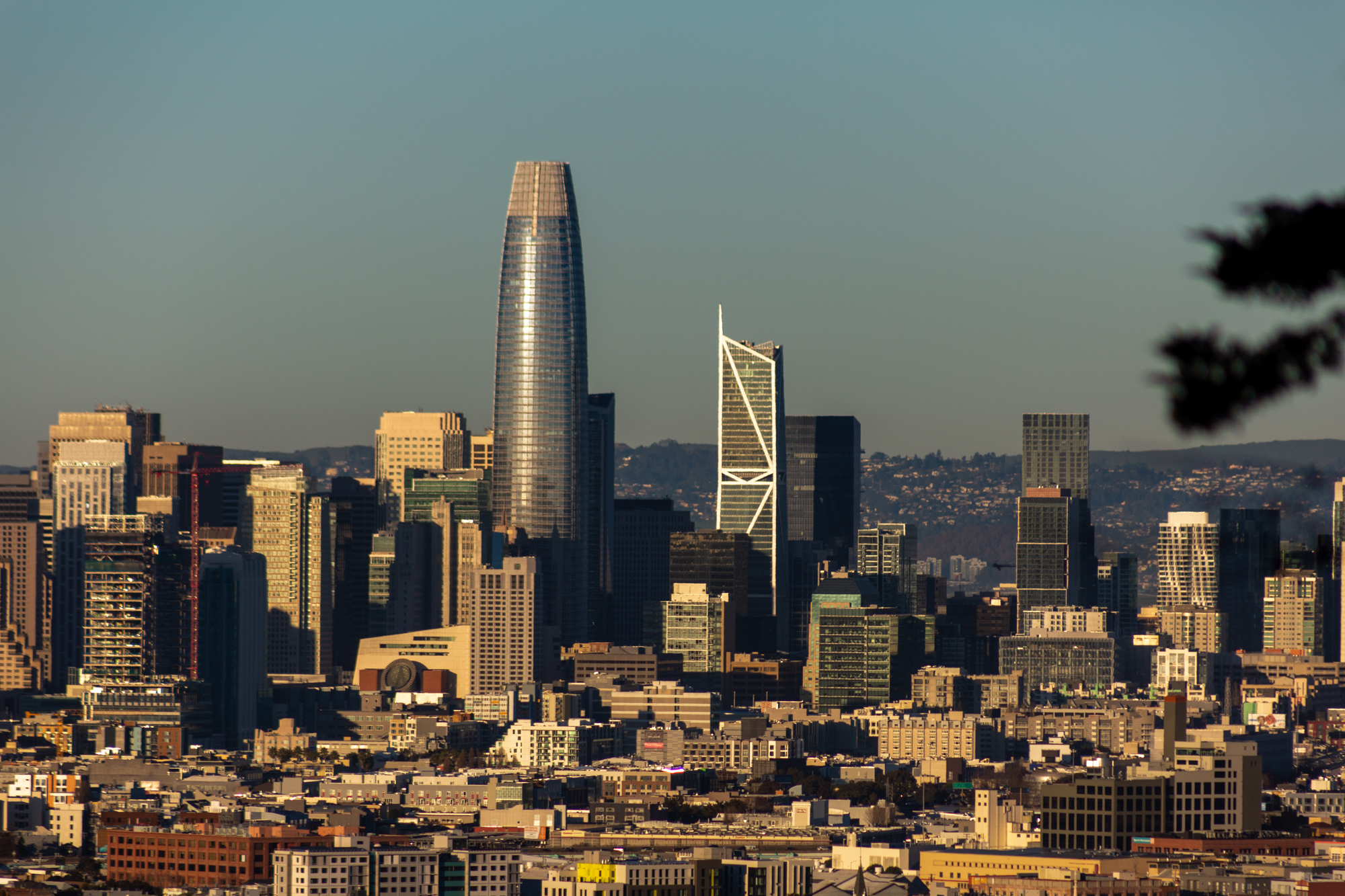 181 Fremont Street in the city skyline, seen beside the Salesforce Tower, image by Andrew Campbell Nelson