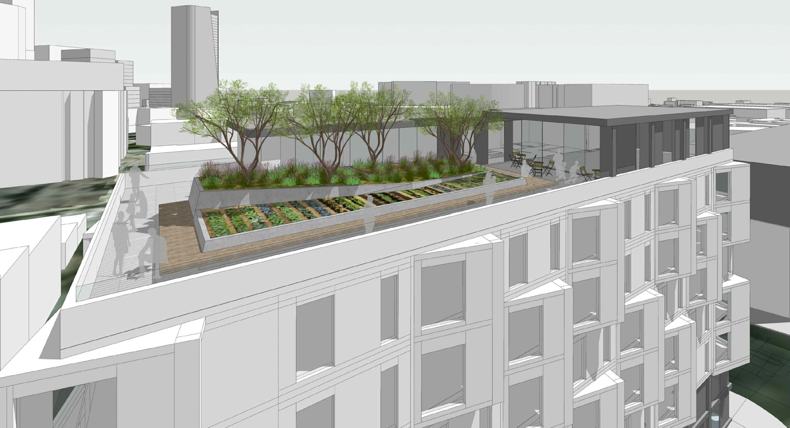 78 Haight Street roof deck, rendering by Paulett Taggart Architects