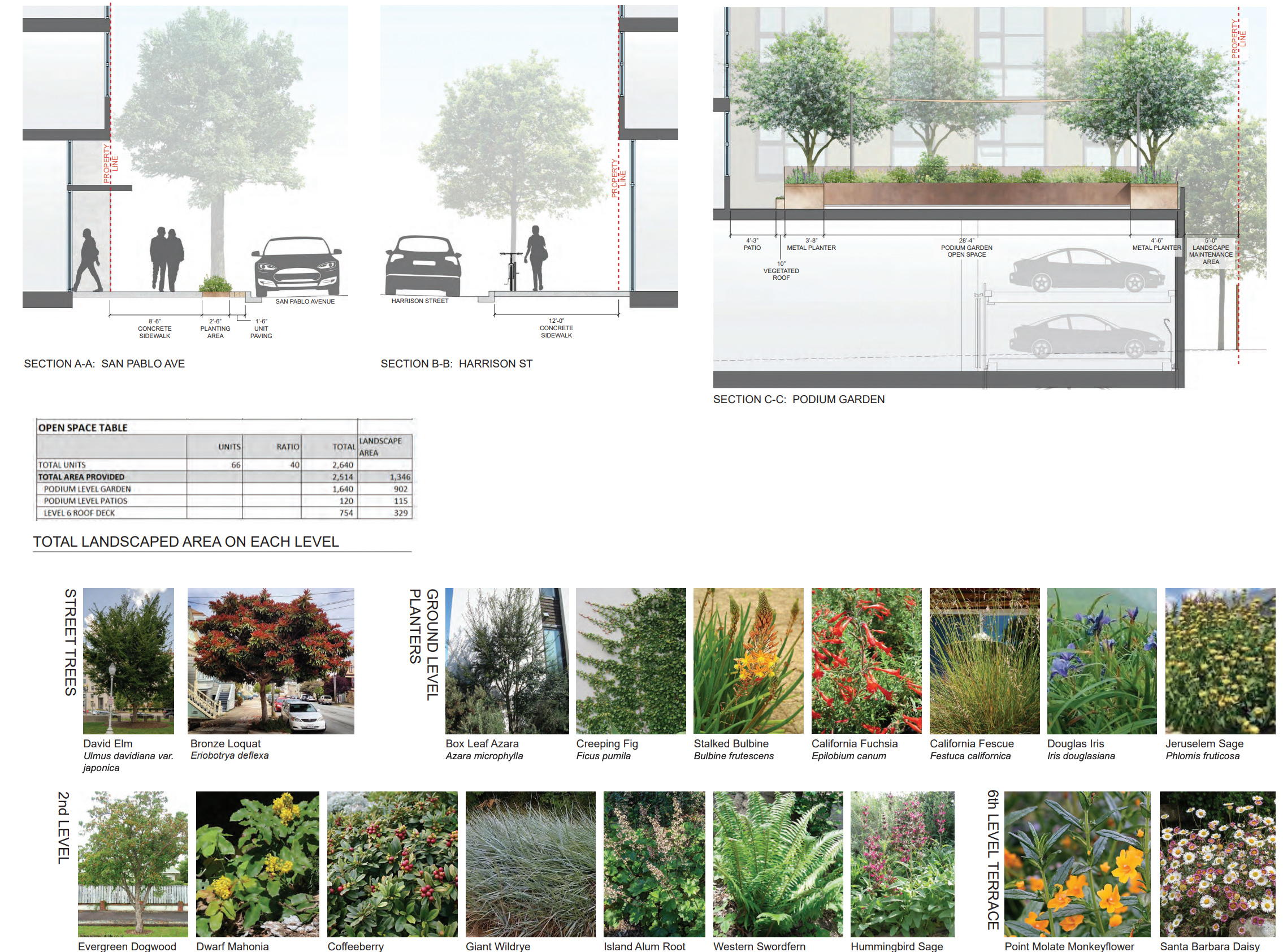 1201 San Pablo Avenue landscaping, page by Miller Company