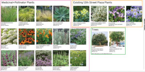 520 11th Street planting schematic, illustration by Einwiller Kuehl