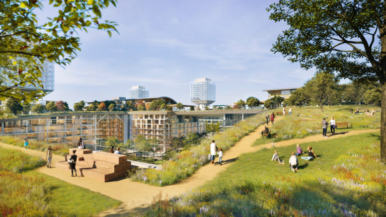 The Rise's landmark-hopeful green roof, image courtesy of Sand Hill Property Company