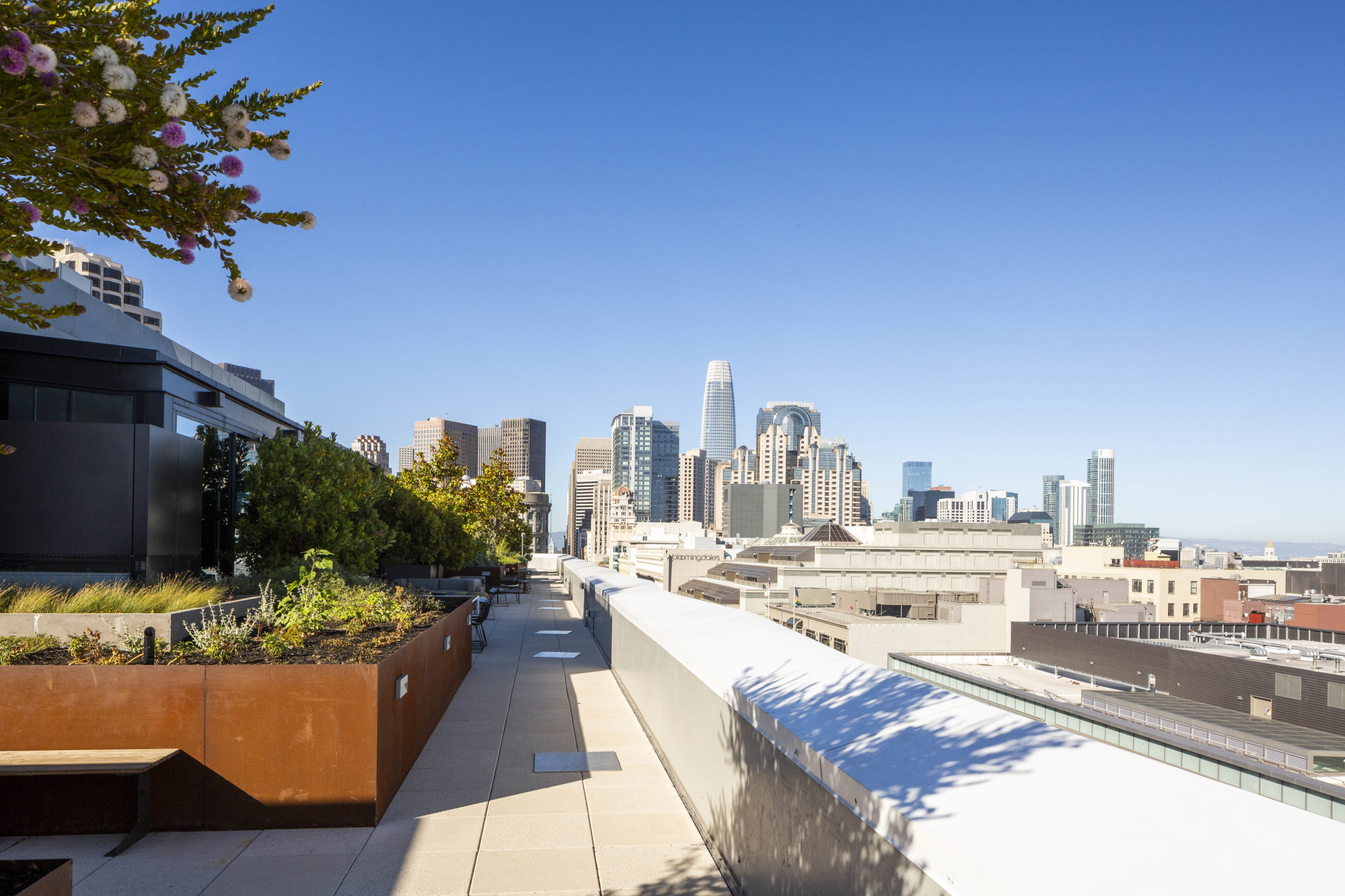 Serif SF rooftop deck view towards the Salesforce Tower, image by Andrew Campbell Nelson