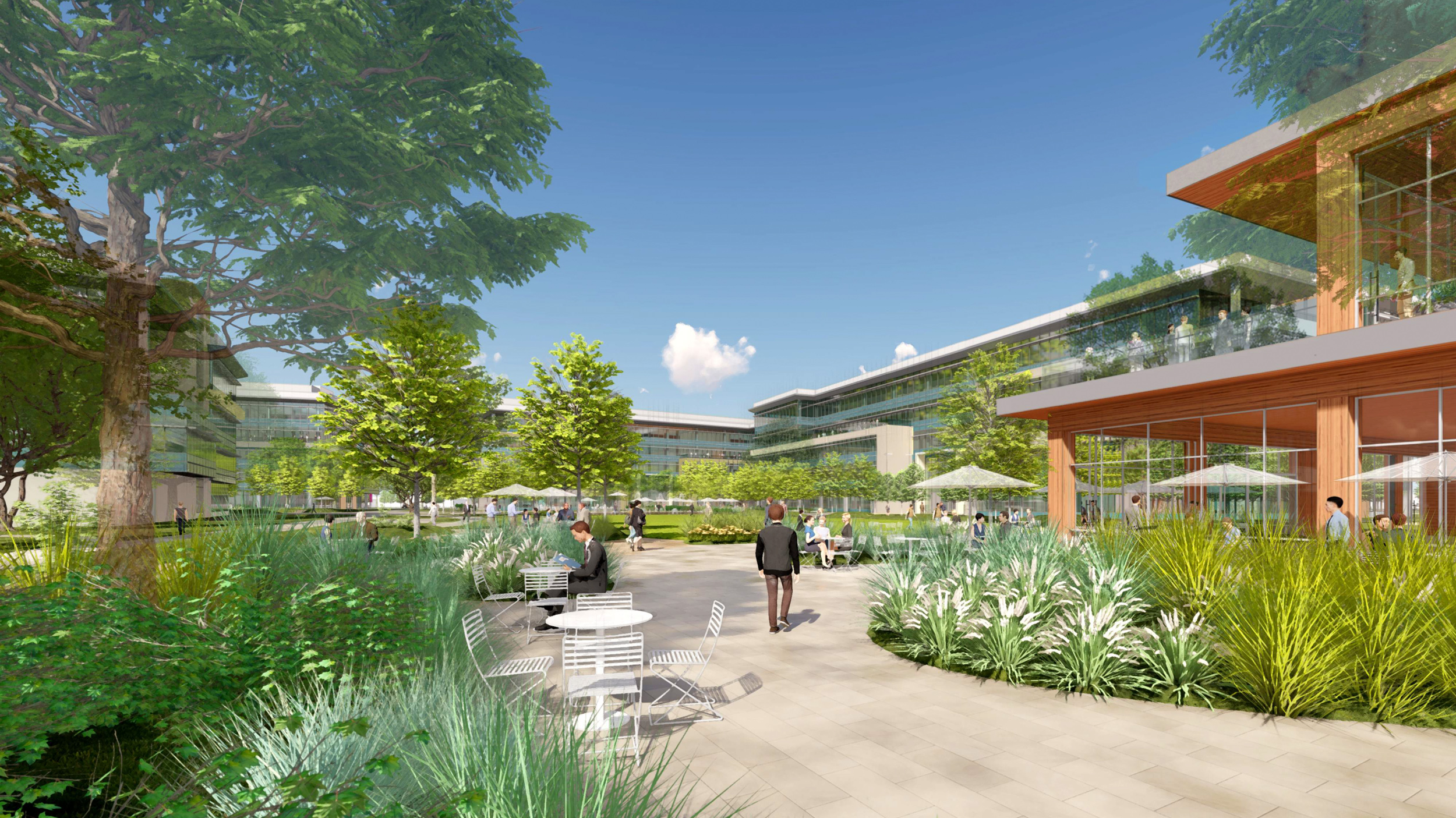 Parkline pathway beside the amenity building, rendering by STUDIOS Architecture