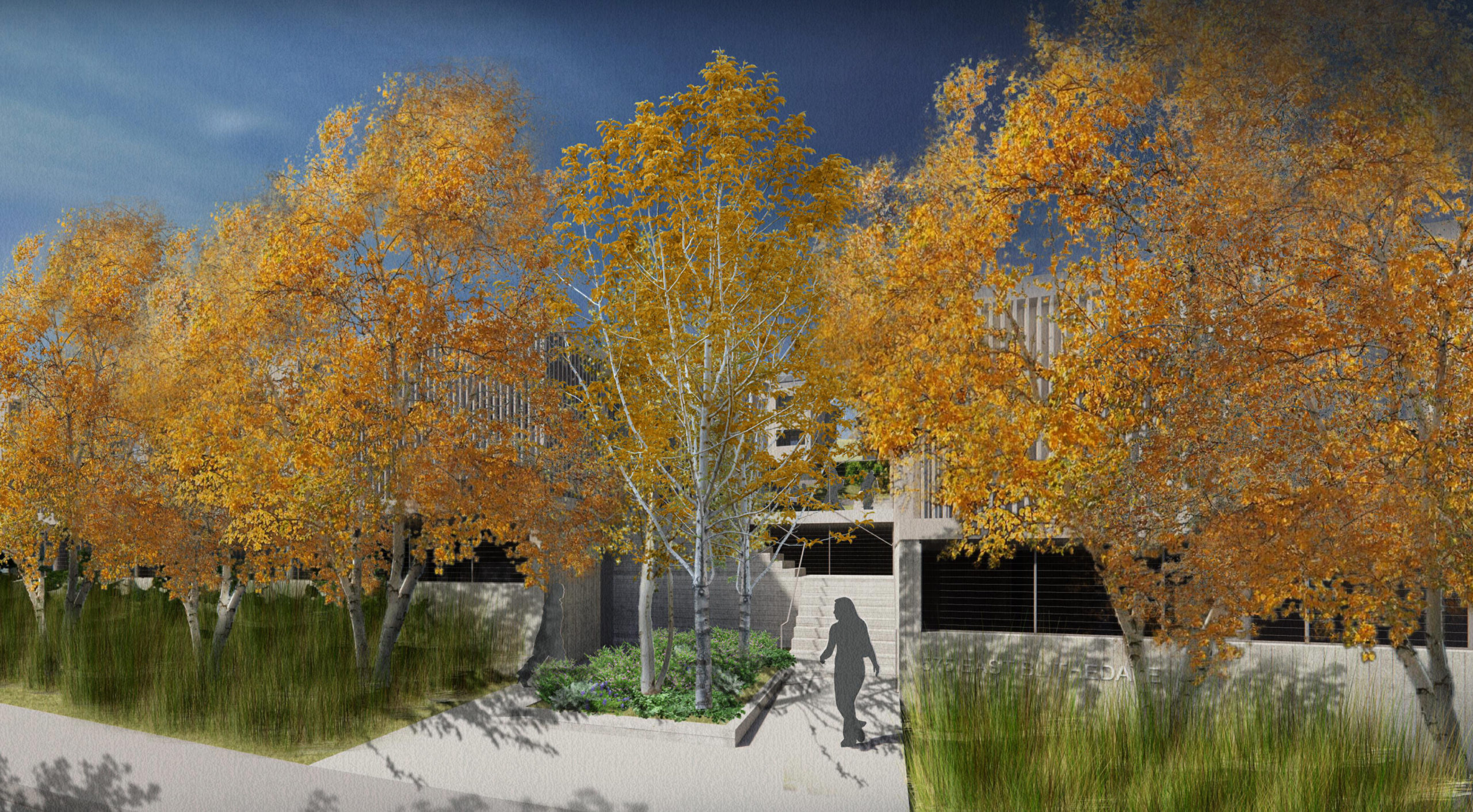 575 East Blithedale Avenue treescape shown, rendering by Mark Cavagnero Associates and Wright Architecture Studio