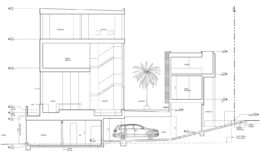 249 Mississippi Street cross section, illustration by Craig Steely Architecture