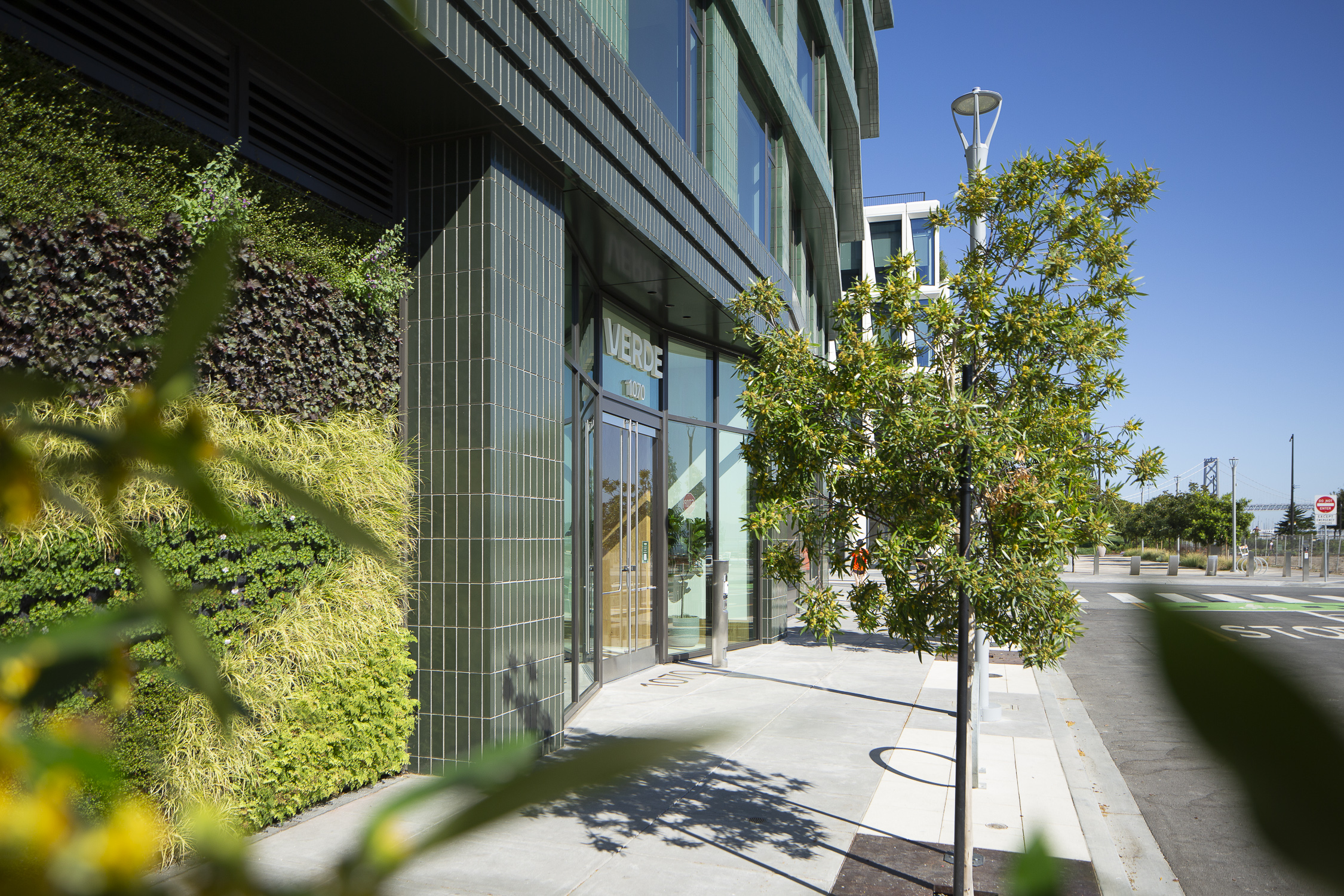 Verde lobby doors, image by Andrew Campbell Nelson