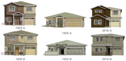 132 Silver Eagle Road Sample Design Elevations, image via Riverland Homes
