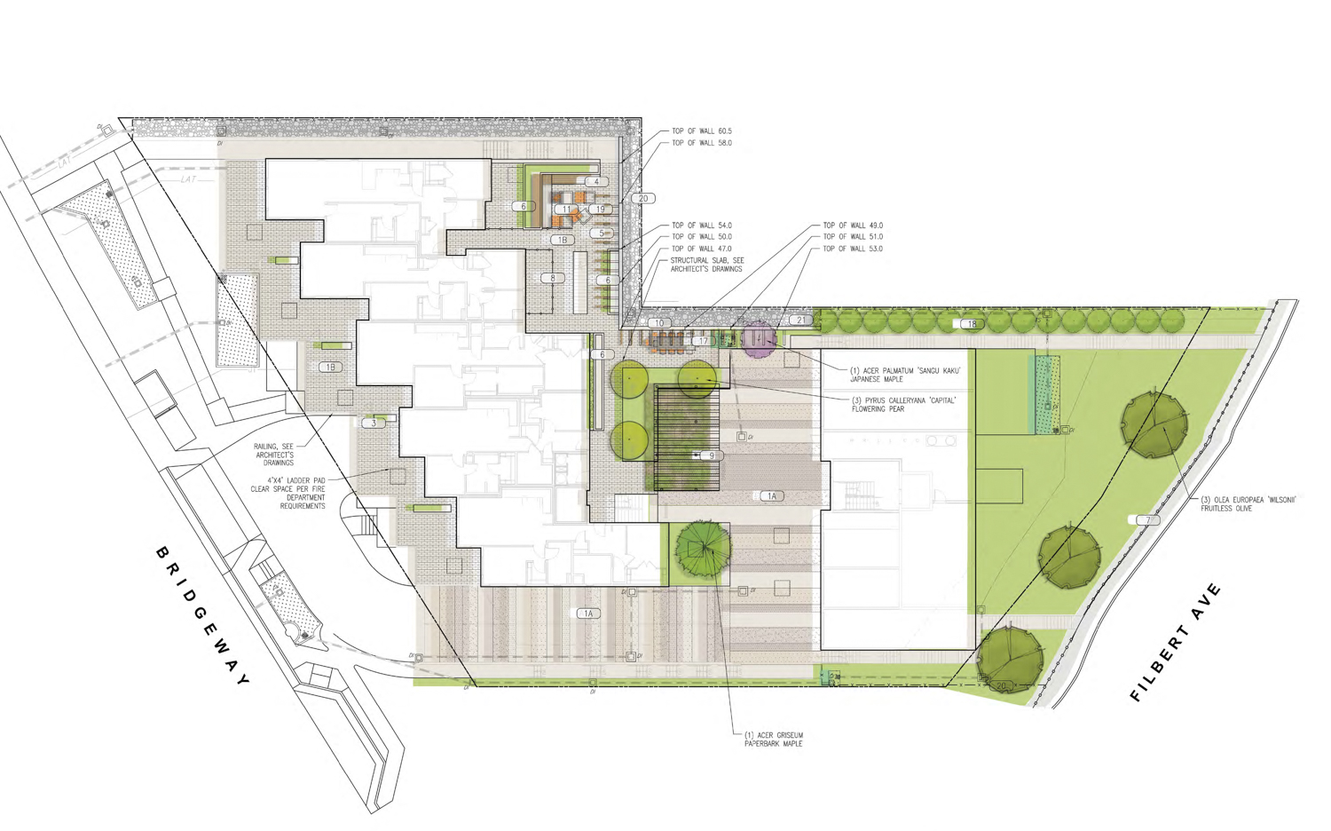 Bridgeway Commons, illustration by JETT