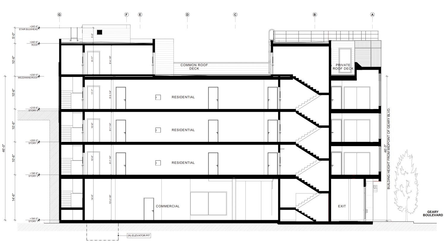 3900 Geary Boulevard vertical cross-section, illustration by RG Architecture