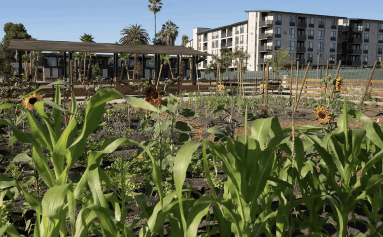 Agrihood Open Farm, image via John Stewart Company