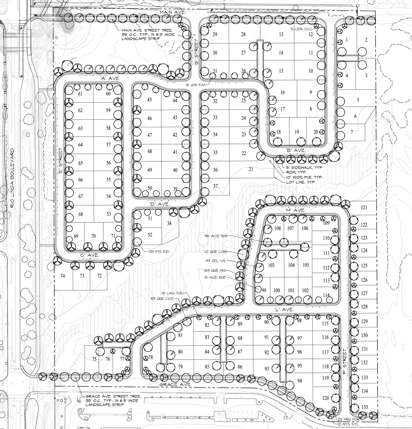 853-901 Main Avenue, illustration by Yamasaki Landscape Architecture