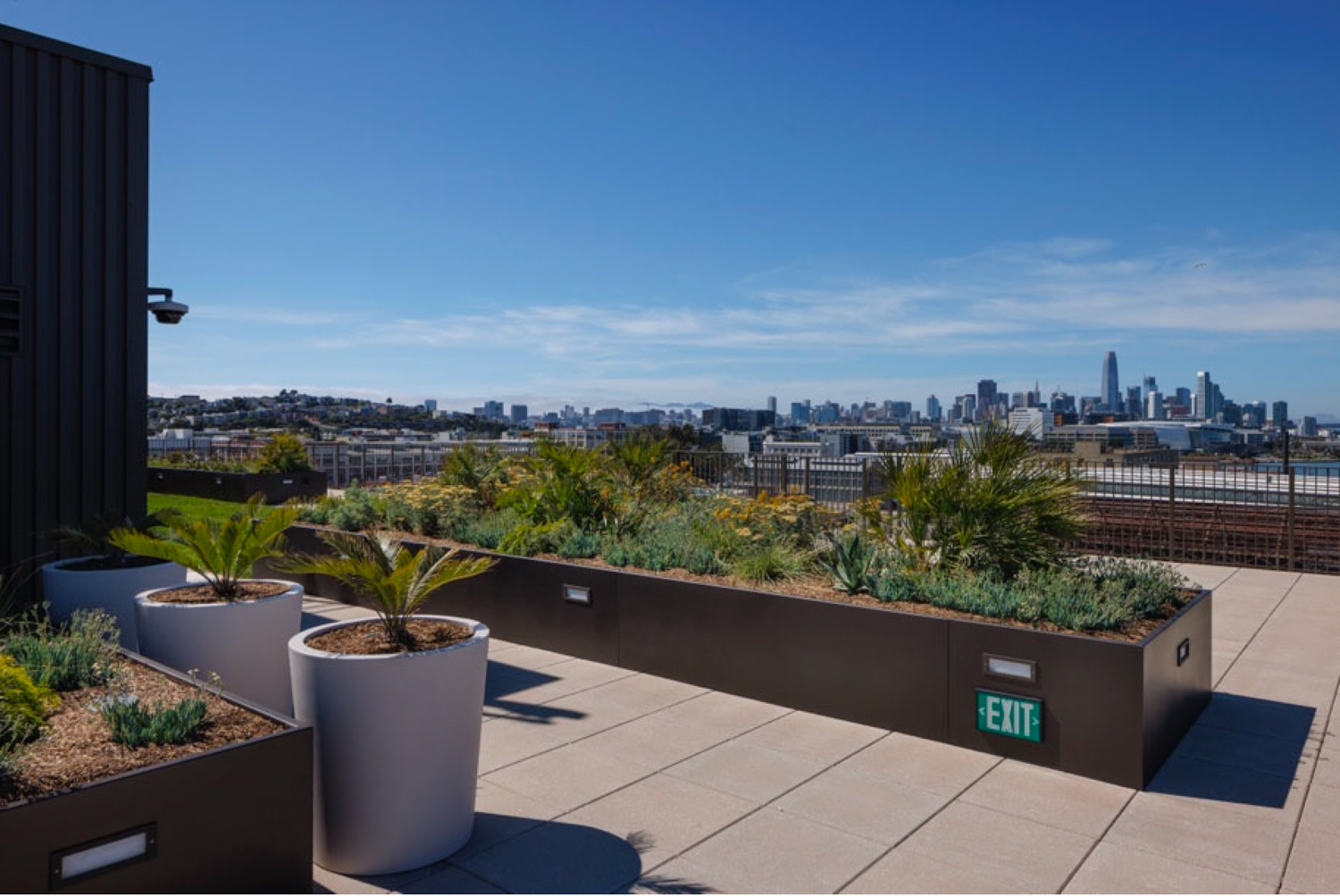Sophie Maxwell Building rooftop deck, image by Henrik Kam courtesy Dogpatch Power Station