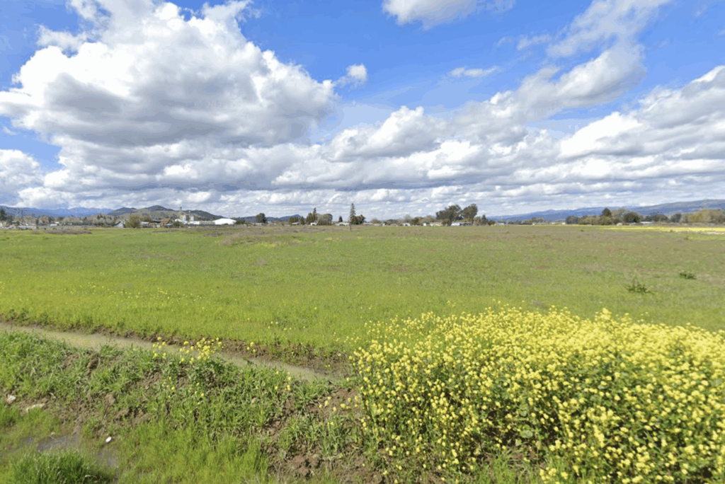 315 Las Animas Avenue Current Site, image via Google Street View
