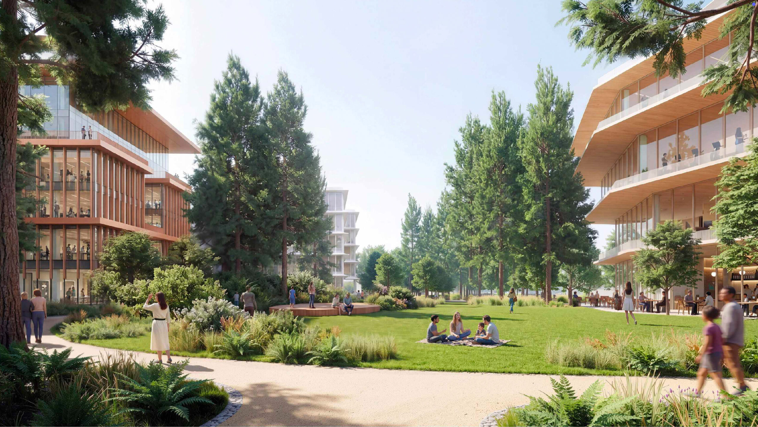 345 Middlefield Road pedestrian view from the amenity pavilion looking into Redwood Meadow, rendering by Gensler