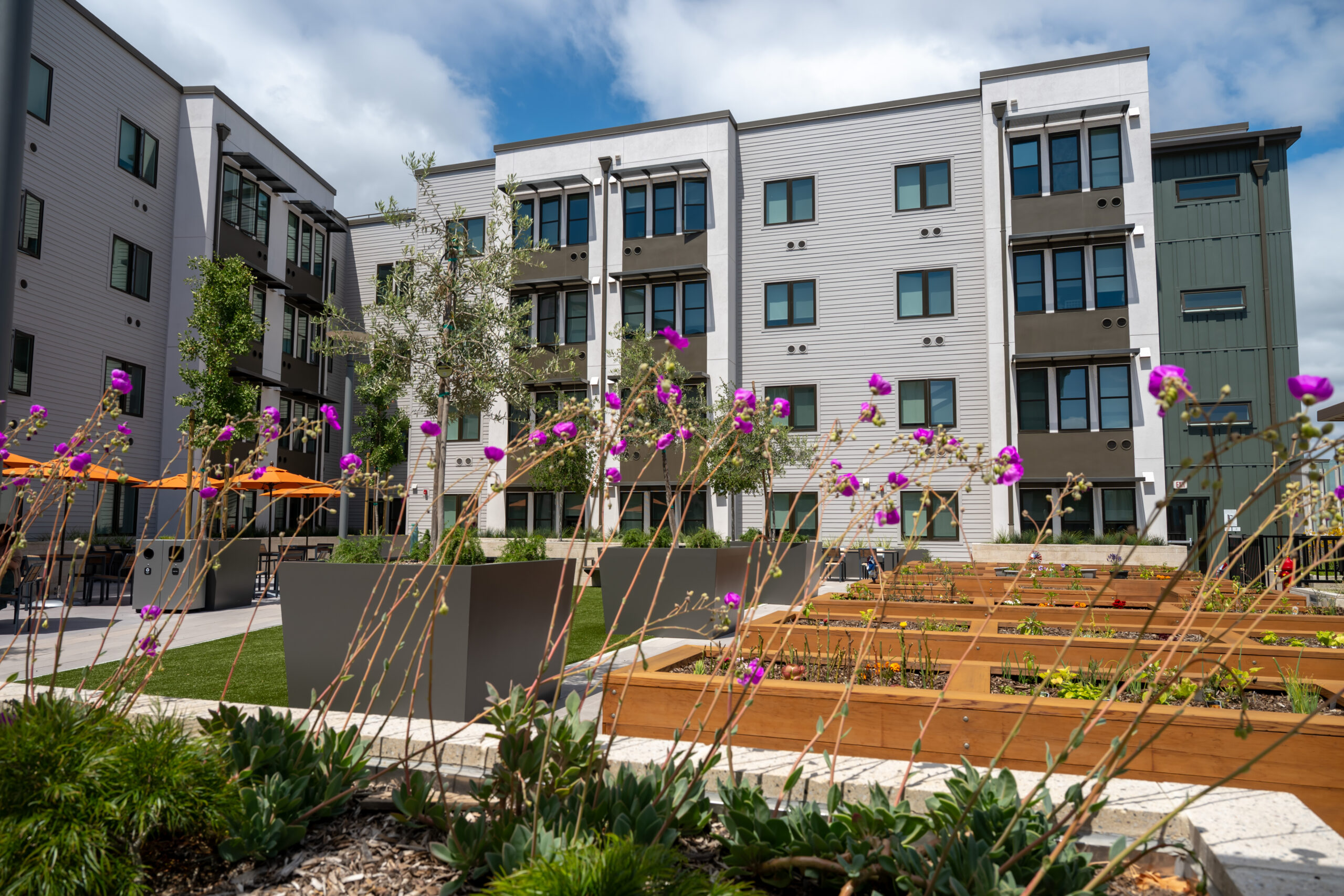 Timber Senior Apartments courtyard, image by Alain McLaughlin