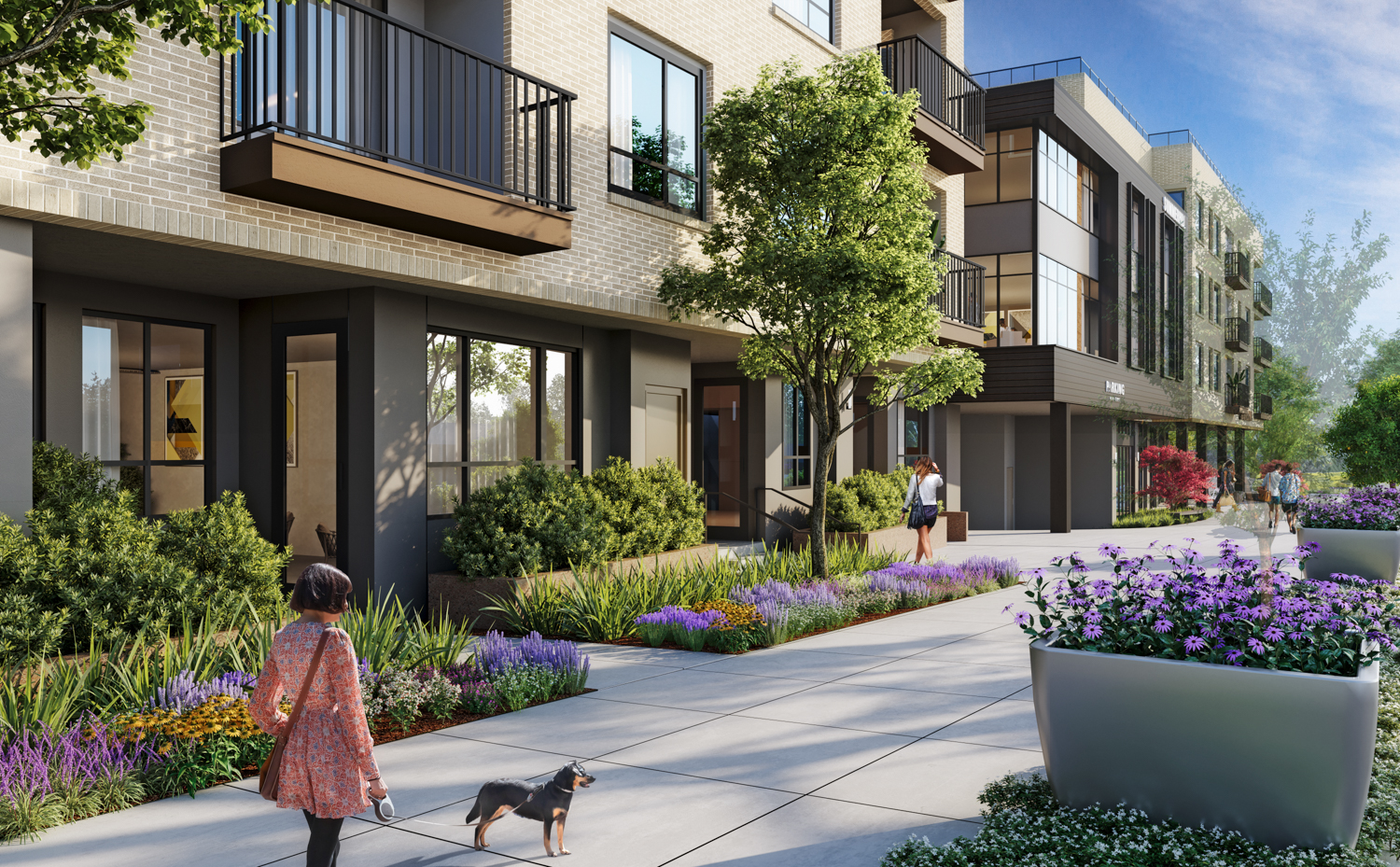 11 El Camino Real pedestrian view, rendering by KTGY