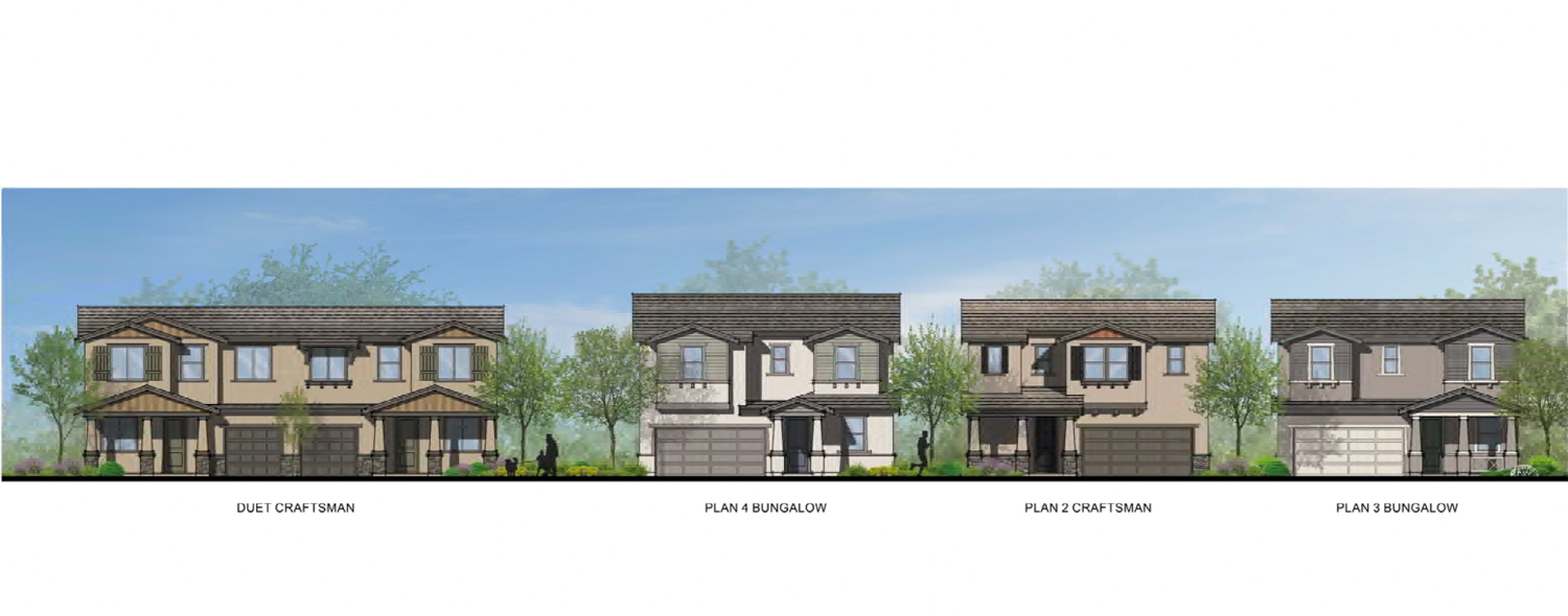 511 Cozy Drive houses elevation, illustration by SDG Architects