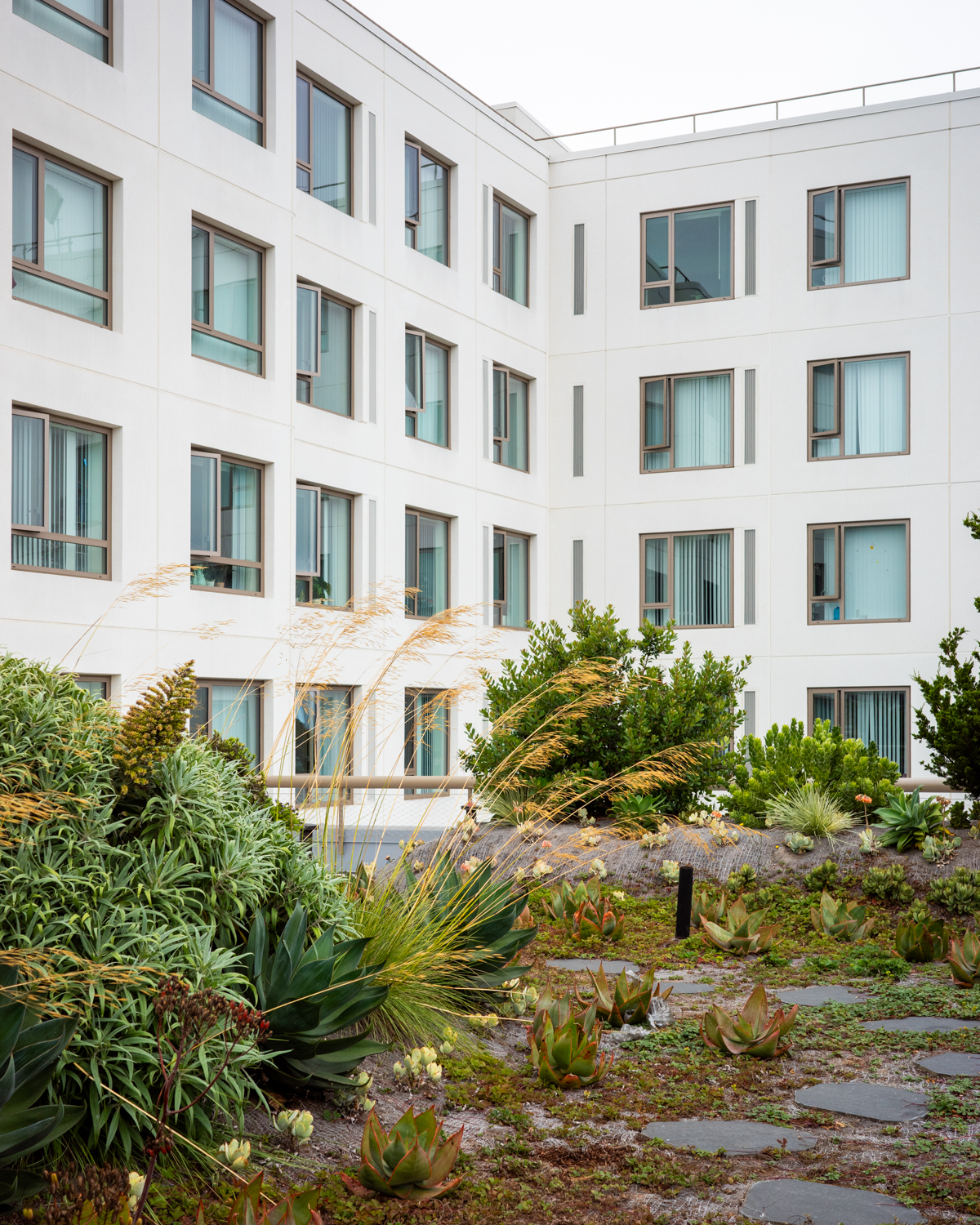 730 Stanyan fifth-floor landscaped garden, image by author