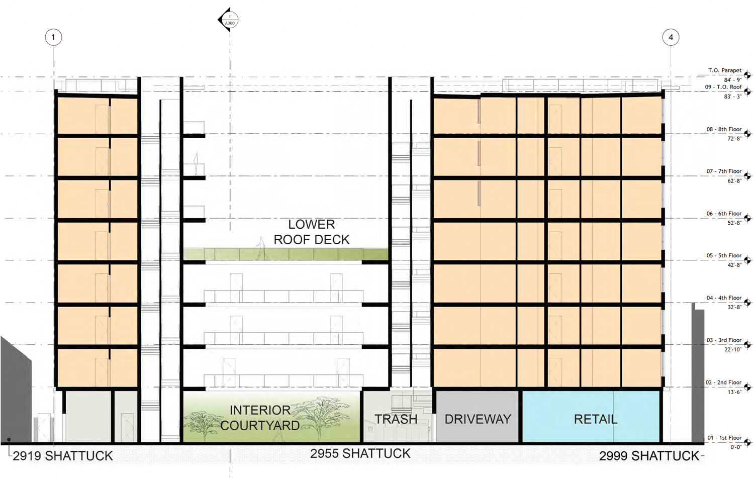 2955 Shattuck Avenue vertical cross-section, illustration by Studio KDA